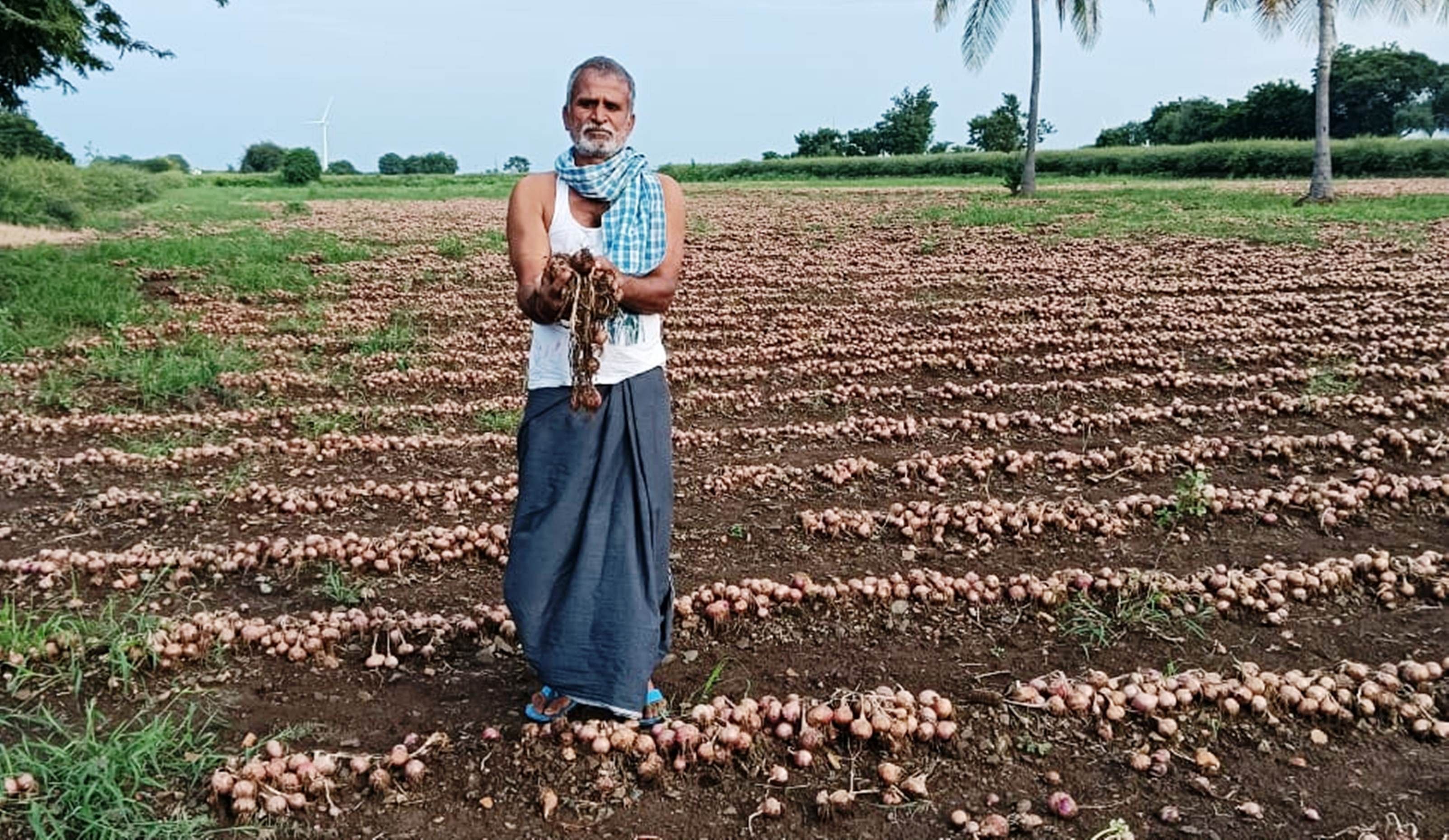 ಕುಷ್ಟಗಿ ತಾಲ್ಲೂಕು ಹಂಚಿನಾಳದ ವೆಂಕಣ್ಣ ರಸರೆಡ್ಡಿ ಎಂಬುವವರ ಈರುಳ್ಳಿ ಹಾಳಾಗಿರುವುದು