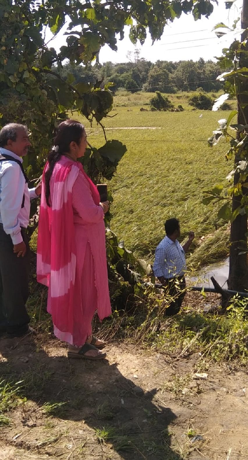 ಶಿವಮೊಗ್ಗ ತಾಲ್ಲೂಕಿನ ಲಕ್ಕಿನಕೊಪ್ಪದಲ್ಲಿ ಭತ್ತದ ಬೆಳೆ ಹಾನಿ ಆಗಿರುವುದನ್ನು ಕೃಷಿ ಇಲಾಖೆ ಅಧಿಕಾರಿಗಳು ಪರಿಶೀಲಿಸುತ್ತಿರುವುದು