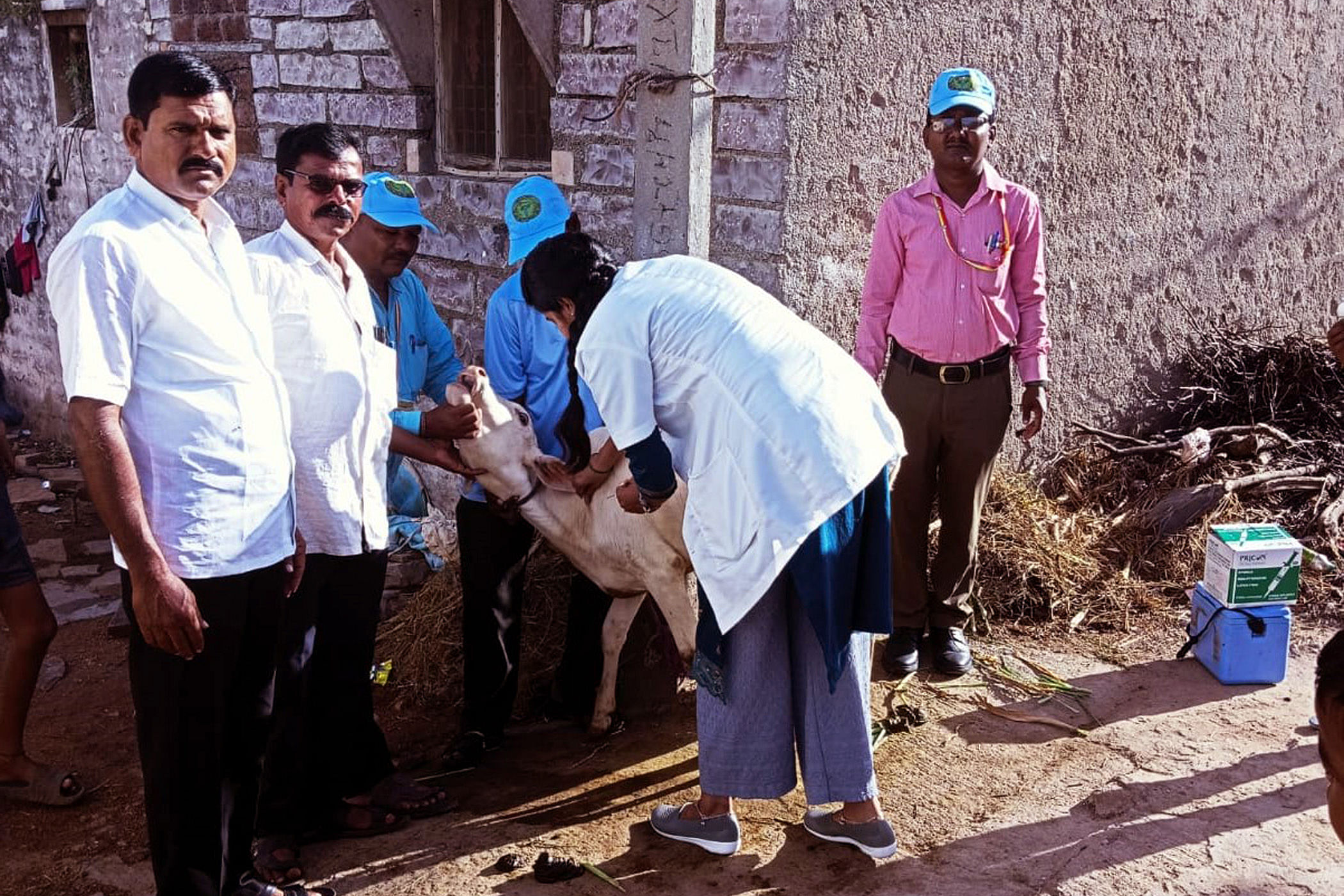 ಹುಣಸಗಿ ತಾಂಡಾದಲ್ಲಿ ಜಾನುವಾರುಗೆ ಕಾಲುಬಾಯಿ ರೋಗ ನಿಯಂತ್ರಣ ಲಸಿಕೆ ಹಾಕಲಾಯಿತು