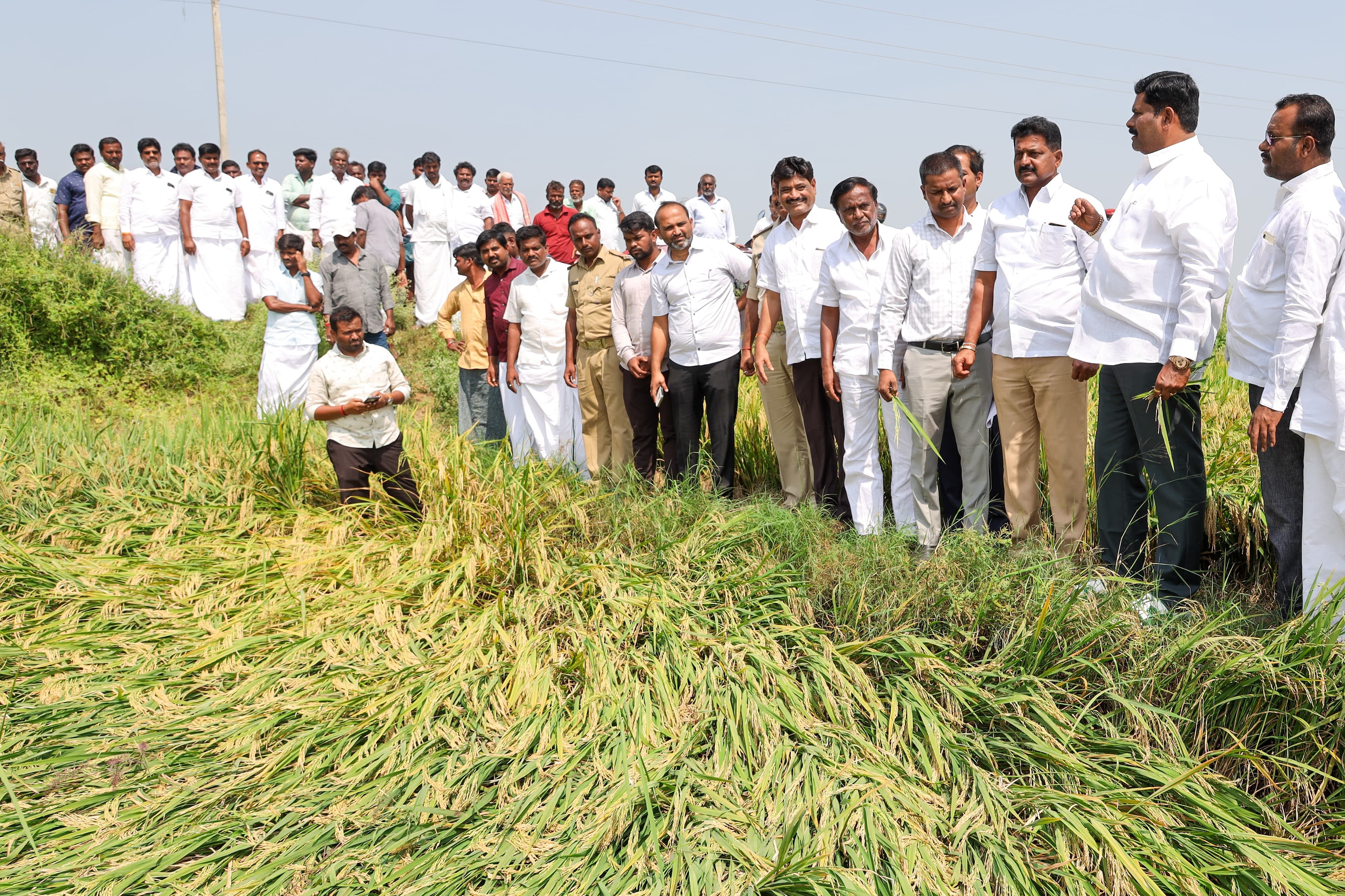 ಕಾರಟಗಿ ತಾಲ್ಲೂಕಿನ ಉಳೆನೂರು, ಬೆನ್ನೂರು ಗ್ರಾಪಂ ವ್ಯಾಪ್ತಿಯಲ್ಲಿ ಹಾನಿಗೊಳಗಾದ ಭತ್ತದ ಗದ್ದೆಗಳಿಗೆ ಜಿಲ್ಲಾ ಉಸ್ತುವಾರಿ ಸಚಿವ ಶಿವರಾಜ ತಂಗಡಗಿ ಶನಿವಾರ ಭೇಟಿ ನೀಡಿ ಪರಿಶೀಲಿಸಿದರು