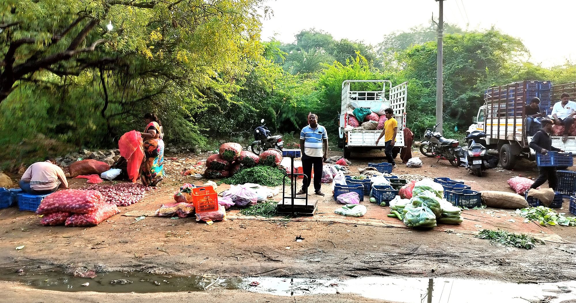 ಸುರಪುರದ ತಹಶೀಲ್ದಾರ್ ಕಚೇರಿ ರಸ್ತೆಯ ಲಕ್ಷ್ಮಿ ಗುಡಿಯ ಹತ್ತಿರ ತರಕಾರಿ ಹರಾಜು ನಡೆಯುವ ಸ್ಥಳ