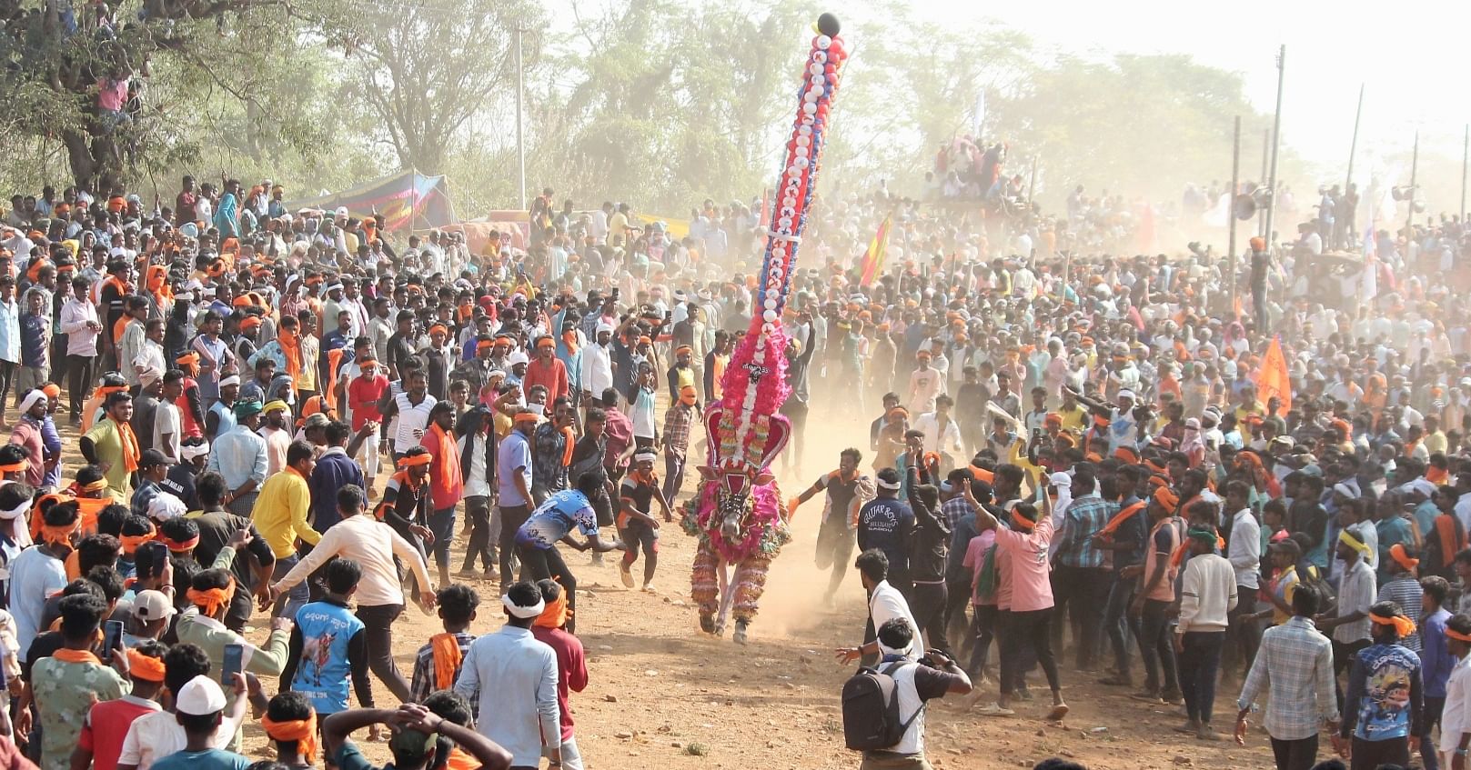 ಶಿಕಾರಿಪುರ ತಾಲ್ಲೂಕಿನಲ್ಲಿ ದೀಪಾವಳಿ ಹಬ್ಬದ ಸಂದರ್ಭದಲ್ಲಿ ನಡೆಯುವ ಹೋರಿ ಹಬ್ಬದ ದೃಶ್ಯ (ಸಂಗ್ರಹ ಚಿತ್ರ)