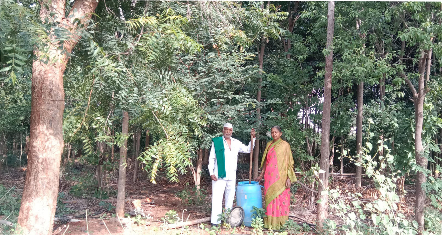 ಮುಂಡರಗಿಯ ಚಂದ್ರಕಾಂತ ಉಳ್ಳಾಗಡ್ಡಿ ಅವರ ಜಮೀನಿನಲ್ಲಿ ಸಮೃದ್ಧವಾಗಿ ಬೆಳೆದಿರುವ ಮರಗಳು