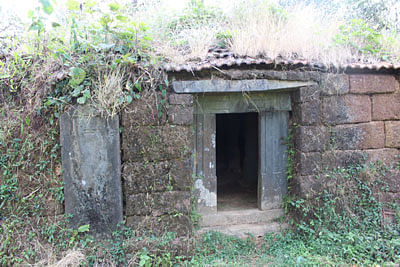 ದೇವಾಲಯದ ಸುತ್ತ ಗಿಡಗಂಟಿ ಬೆಳೆದಿರುವುದು