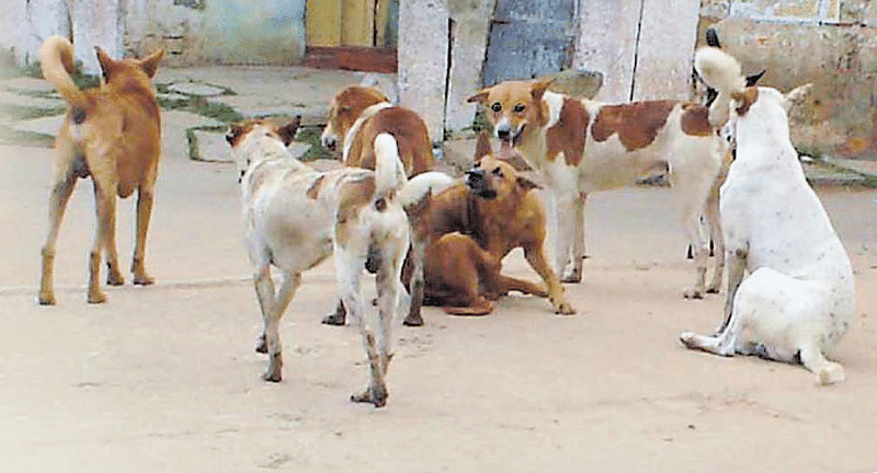 ಸಾಂದರ್ಭಿಕ ಚಿತ್ರ 