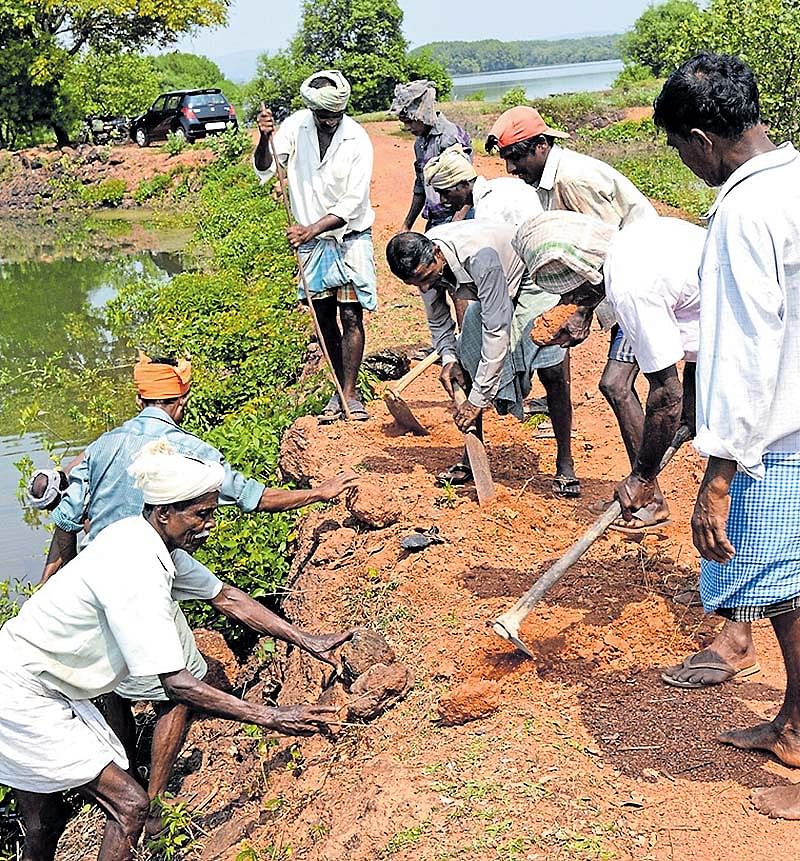 ಖಾರ್ಲ್ಯಾಂಡ್‌ನಲ್ಲಿ ರೈತರ ಶ್ರಮದಾನ