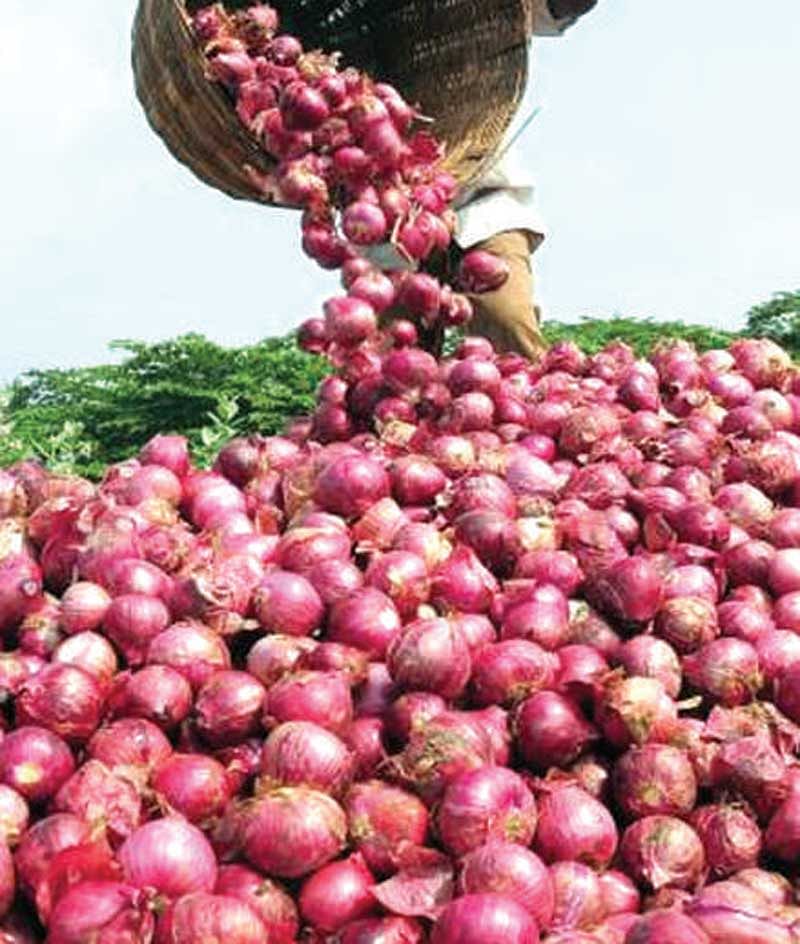 ಈರುಳ್ಳಿ: ₹624ಕ್ಕೆ ಖರೀದಿ    ಕೇವಲ ₹20ಕ್ಕೆ ಮಾರಾಟ!