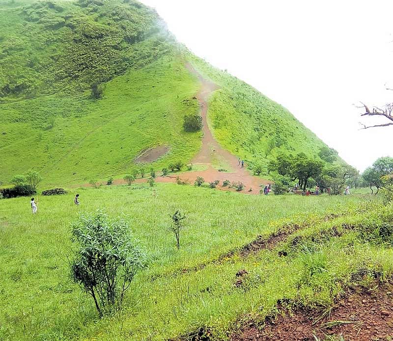 ಶಿವಮೊಗ್ಗ ಜಿಲ್ಲೆಯ ಪಶ್ಚಿಮ ಘಟ್ಟ ಪ್ರದೇಶ