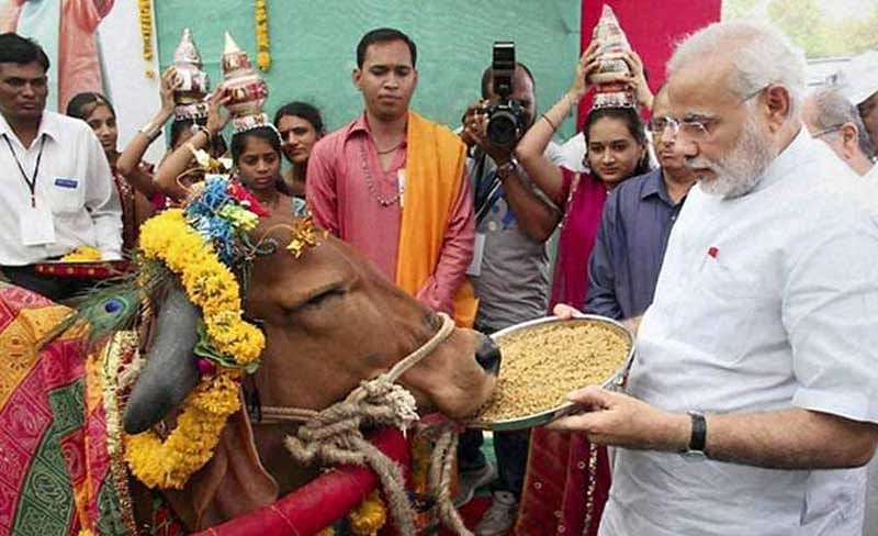 ಗೋ ಉತ್ಪನ್ನಗಳ ಮಾರಾಟಕ್ಕಾಗಿ ಸ್ಟಾರ್ಟ್ ಅಪ್