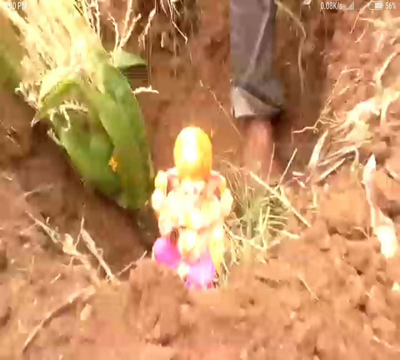 ನಸಲಾಪುರ ಗ್ರಾಮದ ರೈತ ಶಿವಗೌಡ ಪಾಟೀಲ ಭೂಮಿಯಲ್ಲಿ ಗಣೇಶ ಮೂರ್ತಿಯನ್ನು ಹೂಳುತ್ತಿರುವ ಚಿತ್ರ
