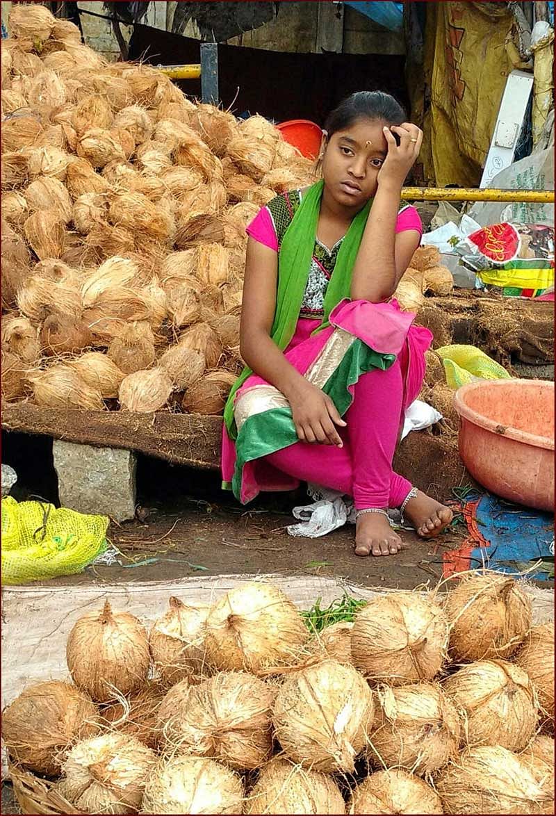 ಕಾಯಿರಾಶಿಯ ಮಧ್ಯೆ ಹಗಲುಕನಸು