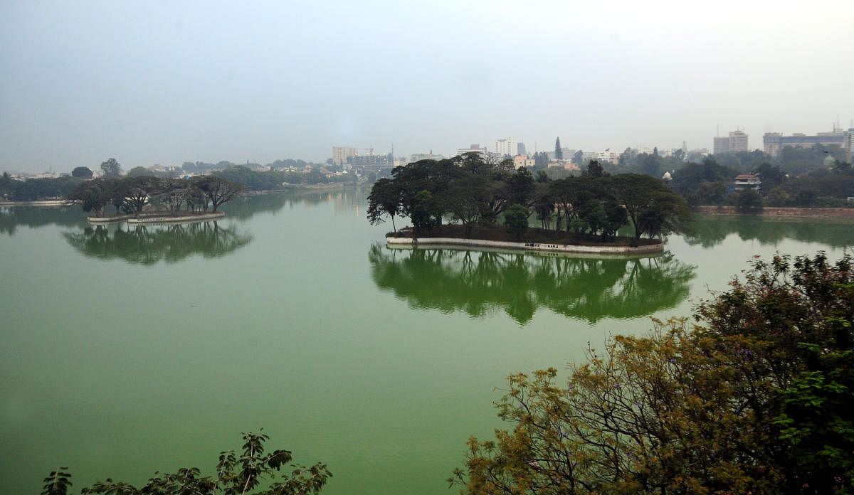 ಹಲಸೂರು ಕೆರೆಯ ವಿಹಂಗಮ ನೋಟ– ಪ್ರಜಾವಾಣಿ ಚಿತ್ರ