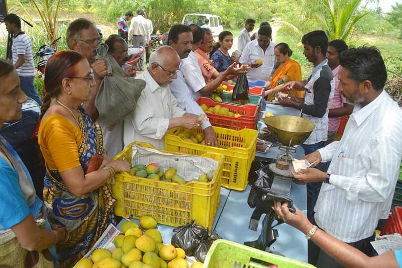 ಮೇಳದಲ್ಲಿ ಹಣ್ಣು ಖರೀದಿಗೆ ಮುಗಿಬಿದ್ದ ಮಾವು ಪ್ರಿಯರು