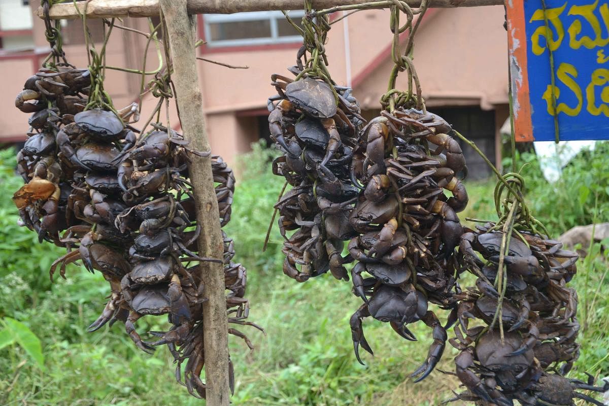 ಮಾರಾಟಕ್ಕಿಟ್ಟಿರುವ ಏಡಿ