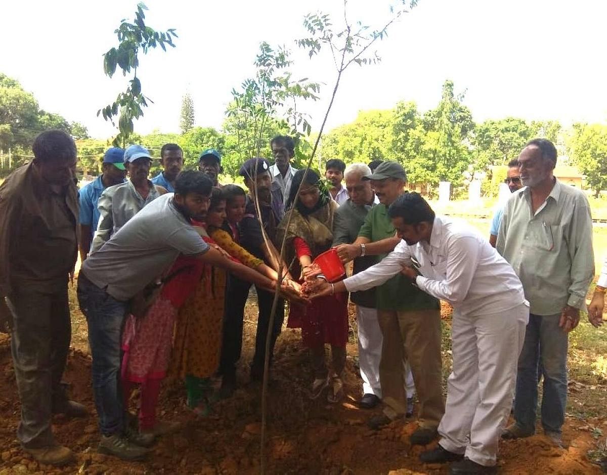 ಹೋಂಡಾ ಕಂಪನಿಯು ಕಾರ್ಪೊರೇಟ್ ಕಂಪನಿಗಳ ಸಾಮಾಜಿಕ ಹೊಣೆಗಾರಿಕೆಯಡಿ ಕೋಲಾರ ರೈಲು ನಿಲ್ದಾಣ ಆವರಣದಲ್ಲಿ ಸೋಮವಾರ ಹಮ್ಮಿಕೊಂಡಿದ್ದ ಕಾರ್ಯಕ್ರಮದಲ್ಲಿ ಜಿ.ಪಂ ಸಿಇಒ ಕೆ.ಎಸ್‌.ಲತಾಕುಮಾರಿ ಸಸಿ ನೆಟ್ಟರು.