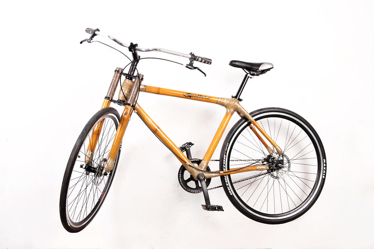 bamboo cycle