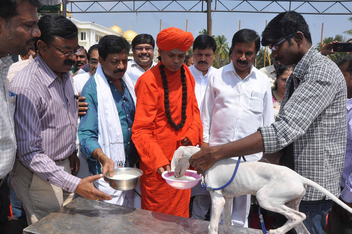 ಚಿತ್ರದುರ್ಗದಲ್ಲಿ ಮಂಗಳವಾರ ನಡೆದ ಶ್ವಾನ ಪ್ರದರ್ಶನದಲ್ಲಿ ಮುಧೋಳ ನಾಯಿಗೆ ಹಾಲು ಕುಡಿಸುತ್ತಿರುವ ಶಿವಮೂರ್ತಿ ಮುರುಘಾ ಶರಣರು. ಕೃಷಿ ಸಚಿವ ಶಿವಶಂಕರ ರೆಡ್ಡಿ ಅವರೂ ಇದ್ದರು. ಚಿತ್ರ: ಭವಾನಿ ಮಂಜು.