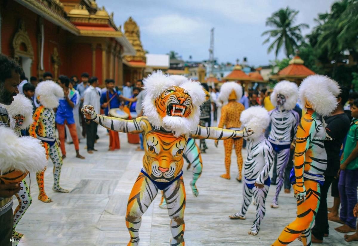 ಹುಲಿವೇಷ  ಚಿತ್ರಗಳು: ನಿತ್ಯಪ್ರಕಾಶ್ ಬಂಟ್ವಾಳ