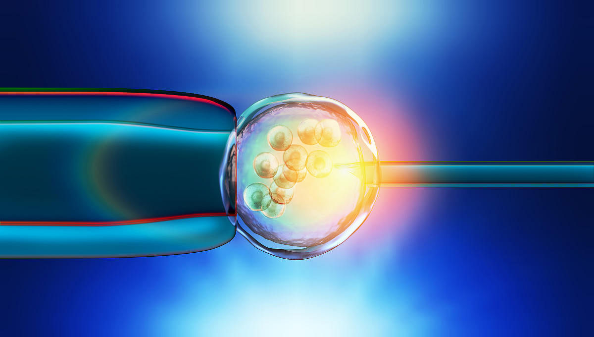 Colorful 3d Illustration of a in-vitro fertilization of an egg cellArtificial Fertilisation