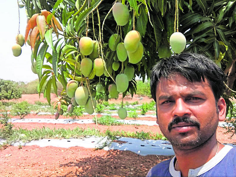 ಮಾವಿನೊಂದಿಗೆ ಸಂತೋಷ್