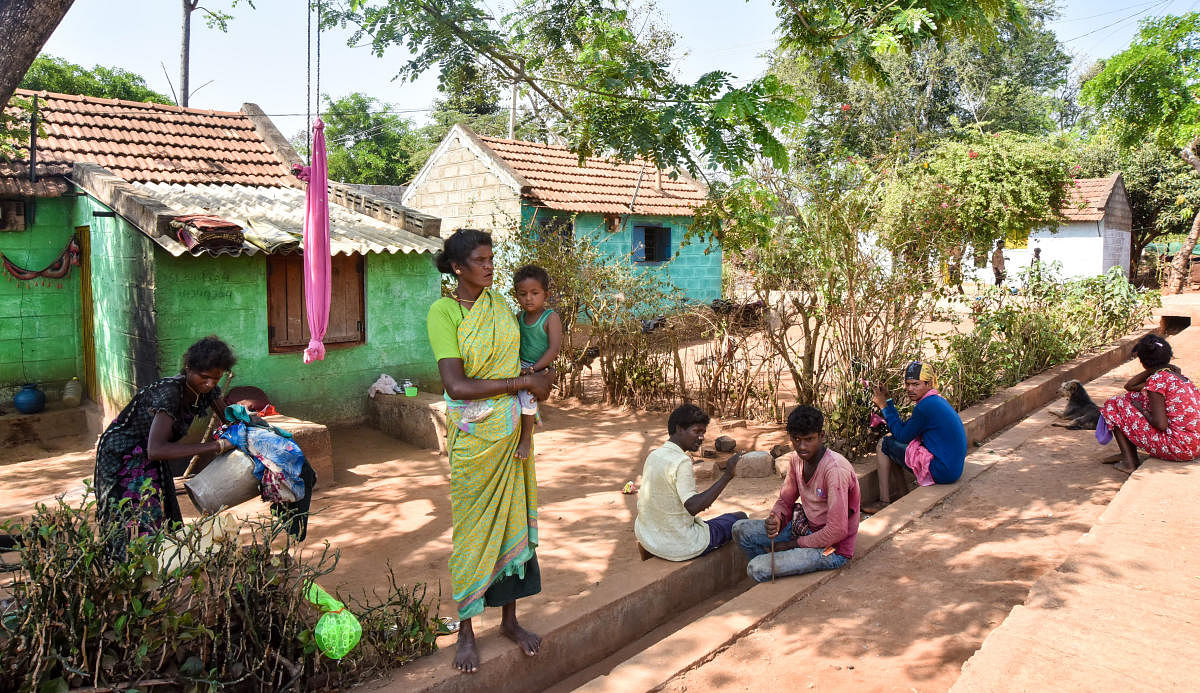 ಎಚ್‌.ಡಿ.ಕೋಟಿ ತಾಲ್ಲೂಕು ಸೋನಹಳ್ಳಿ ಆದಿವಾಸಿ ಹಾಡಿ  ಪ್ರಜಾವಾಣಿ ಚಿತ್ರ/ಬಿ.ಆರ್‌.ಸವಿತಾ