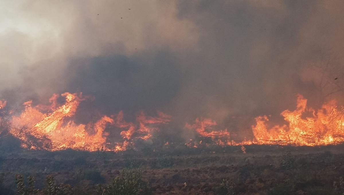 ಮಲೆಮಹದೇಶ್ವರ ವನ್ಯಧಾಮದಲ್ಲಿ ಬೋಳಿ ಬೆಟ್ಟದಲ್ಲಿ ಕಾಣಿಸಿಕೊಂಡಿರುವ ಬೆಂಕಿ