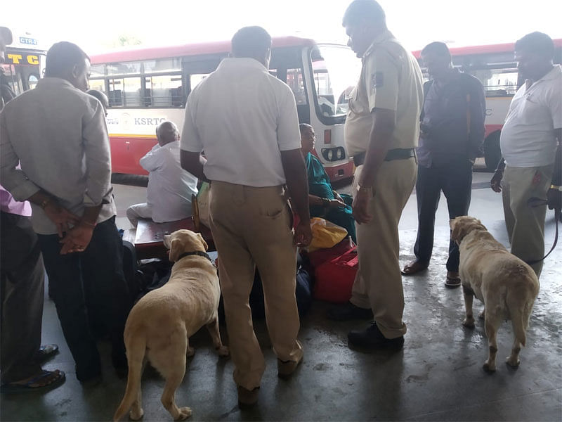 -ಸಾಂದರ್ಭಿಕ ಚಿತ್ರ