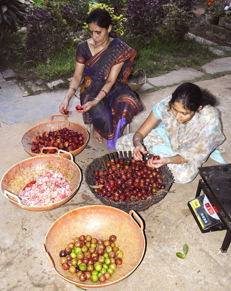 kokum