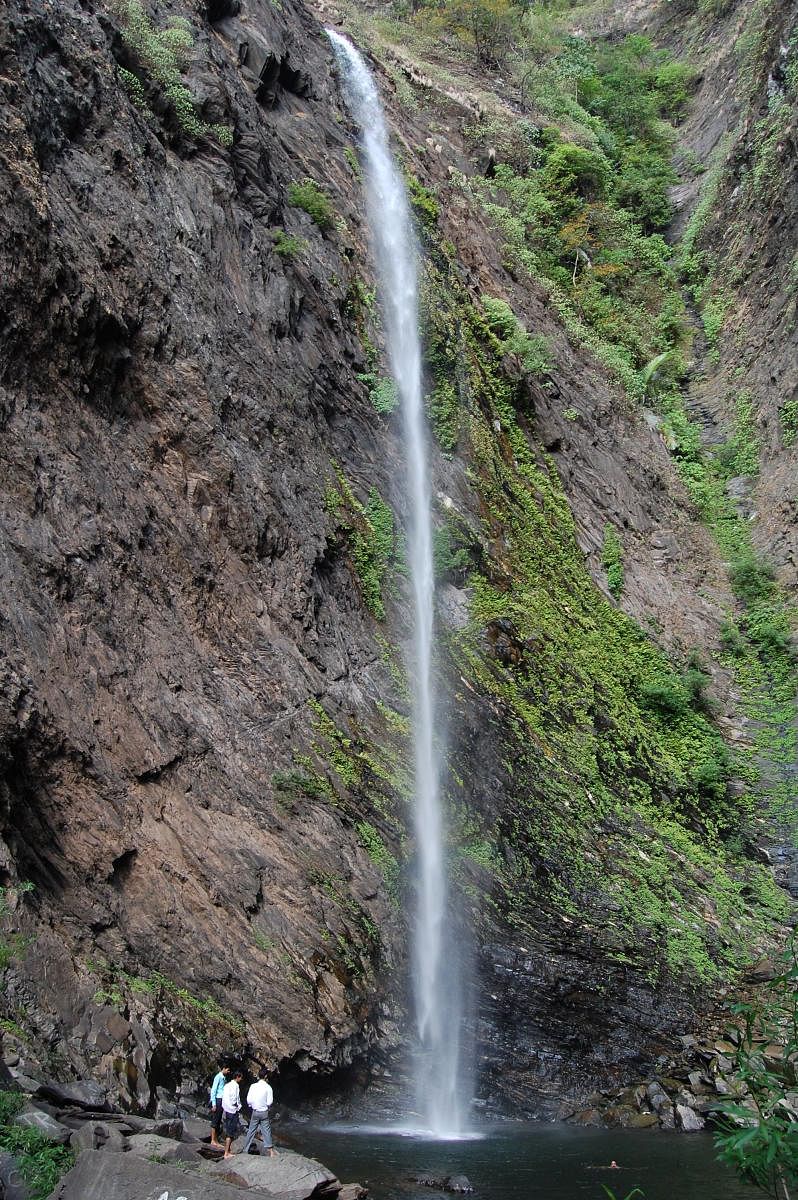 ಸೀತಾ ಫಾಲ್ಸ್. ಚಿತ್ರಗಳು: ಶರತ್ ಹೆಗ್ಡೆ