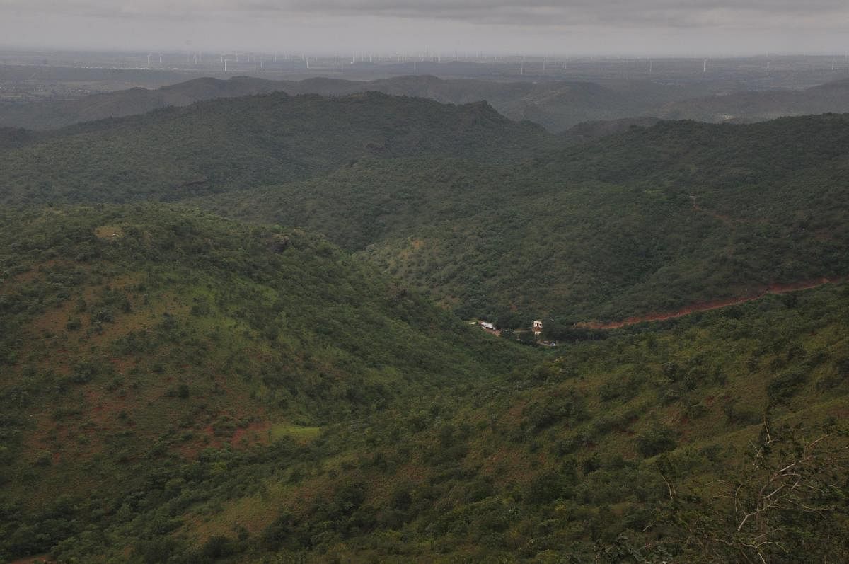 ಹಸಿರು ಮುಡಿದ ಕಪ್ಪತಗುಡ್ಡ (ಸಂಗ್ರಹ ಚಿತ್ರ)