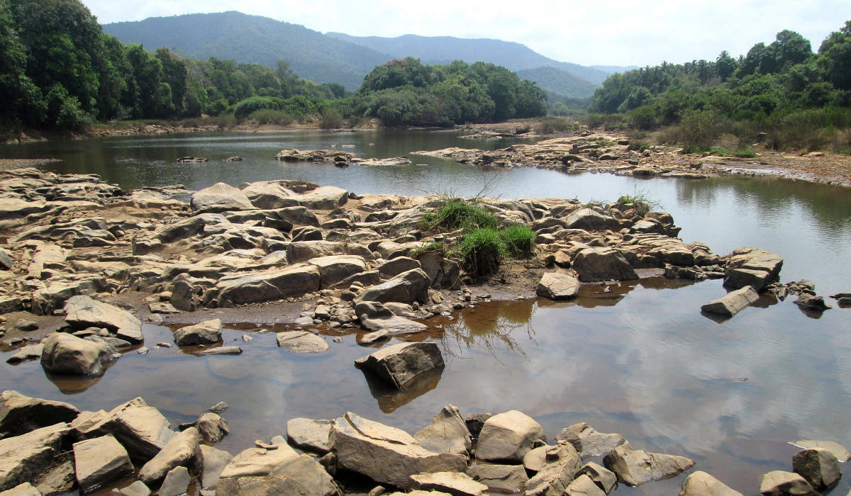 ಕುಮಟಾದ ಮರಾಕಲ್ ಬಳಿ ಅಘನಾಶಿನಿ ನದಿ ಬರಿದಾಗಿರುವುದು.