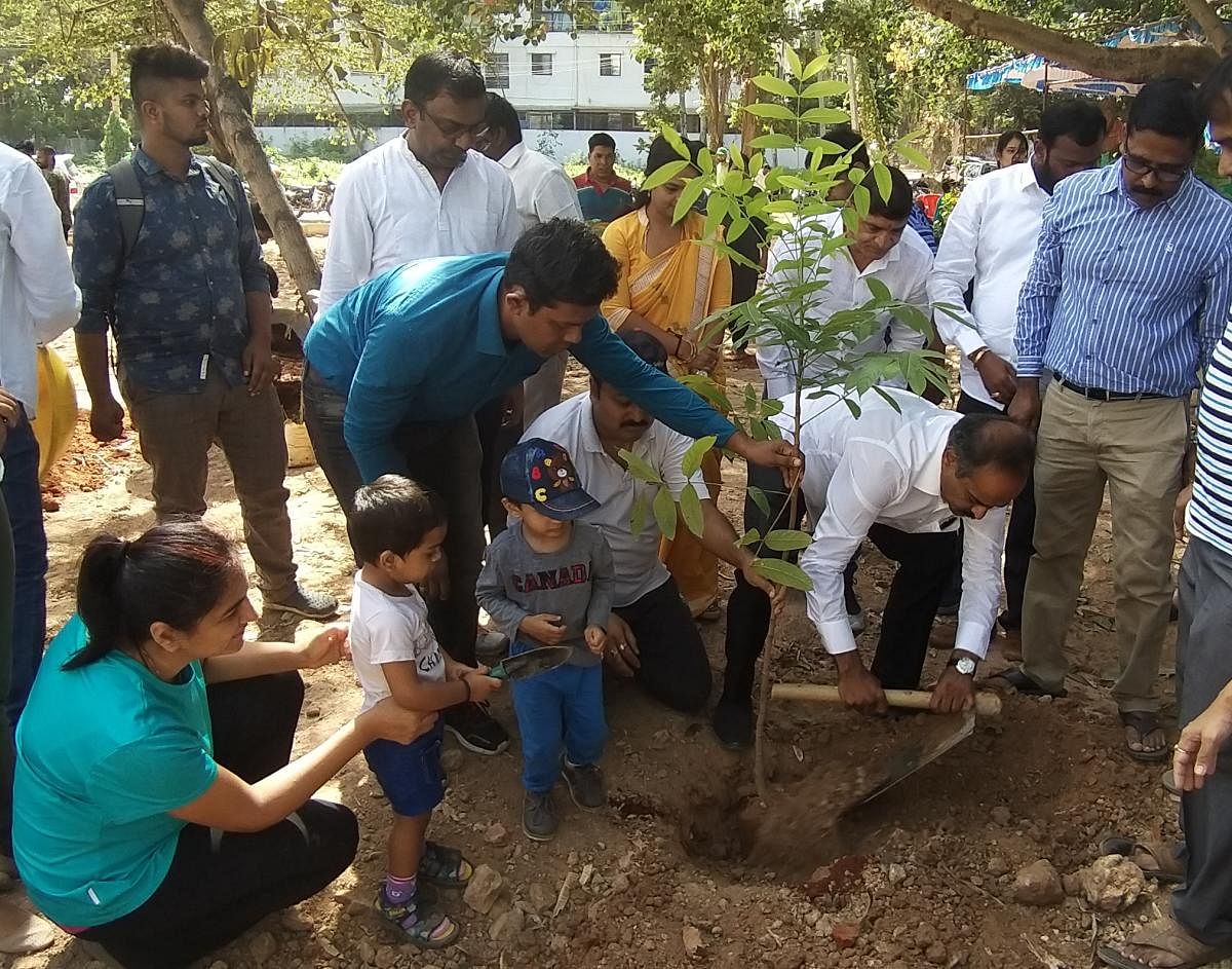 ಬೆಂಗಳೂರು ಕೇಂದ್ರ ಸಂಸದ ಪಿ.ಸಿ. ಮೋಹನ್ ಸಸಿ ನೆಟ್ಟರು