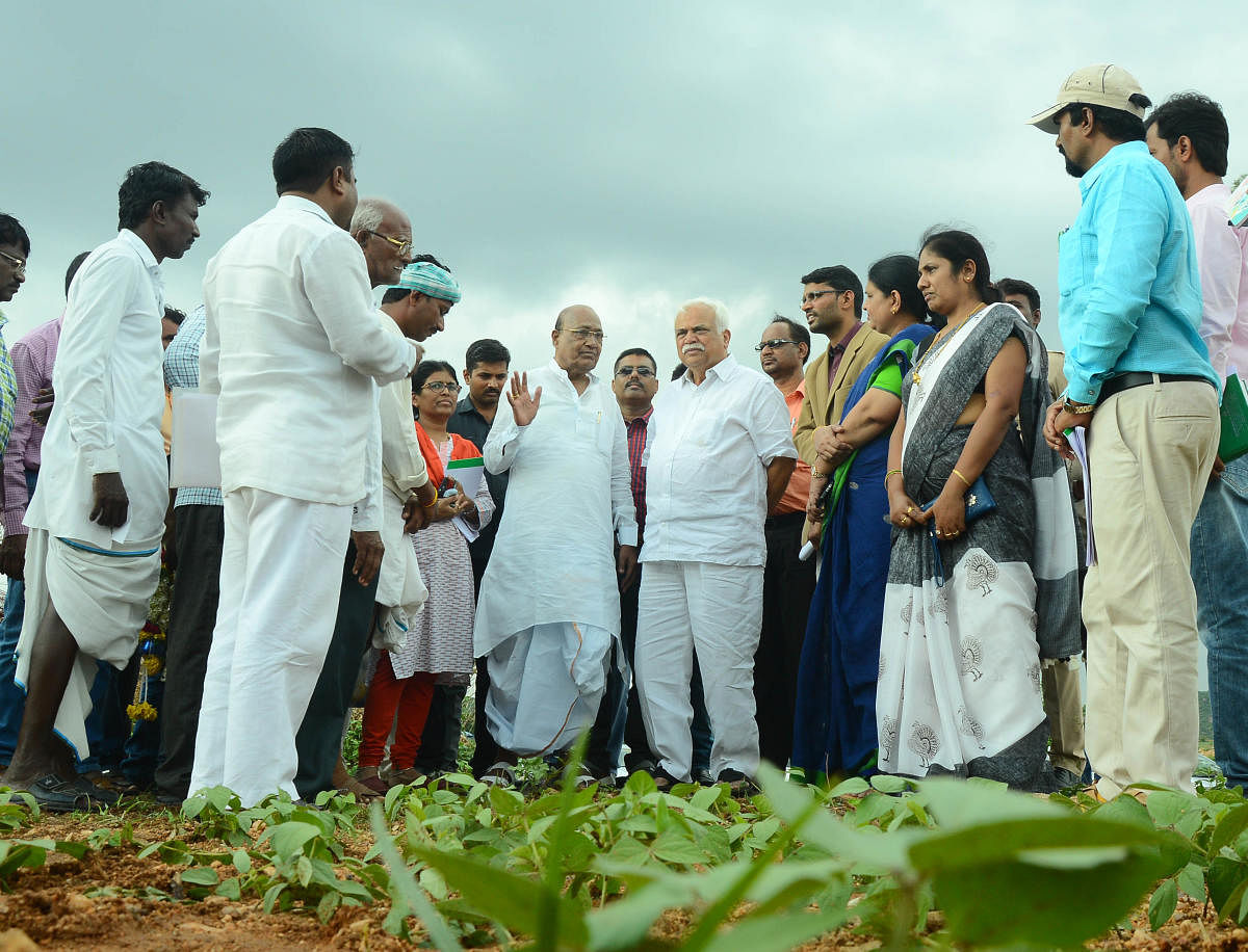 ಯಾದಗಿರಿ ತಾಲ್ಲೂಕಿನ ಅಲ್ಲಿಪುರ ತಾಂಡಾದಲ್ಲಿ ಕಂದಾಯ ಸಚಿವ ಆರ್‌.ವಿ.ದೇಶಪಾಂಡೆ ಹೆಸರು ಬೆಳೆ ವೀಕ್ಷಿಸಿದರು