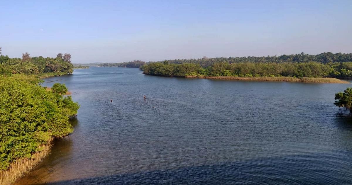 ಜೀವರಾಶಿಗೆ ಆಶ್ರಯದಾಯಿನಿಯಾಗಿರುವ ಶರಾವತಿ ನದಿ