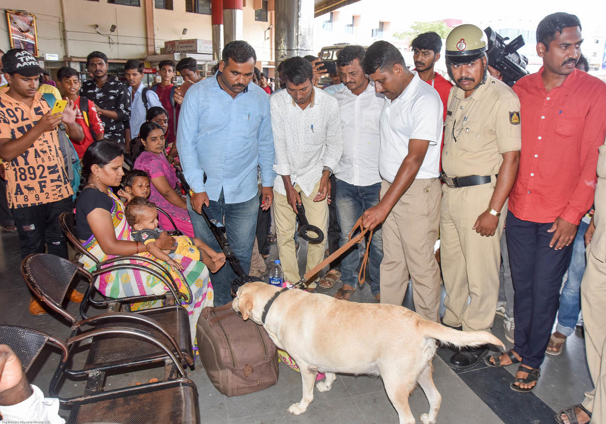 ಉಗ್ರರ ದಾಳಿ ಶಂಕೆಯ ಹಿನ್ನೆಲೆಯಲ್ಲಿ ಕಲಬುರ್ಗಿ ನಗರದಲ್ಲಿಯೂ ಹೈ ಅಲರ್ಟ್‌ ಘೋಷಿಸಲಾಗಿದ್ದು, ಕೇಂದ್ರ ಬಸ್‌ ನಿಲ್ದಾಣದಲ್ಲಿ ಶ್ವಾನದಳ ಸಿಬ್ಬಂದಿ ಶುಕ್ರವಾರ ಮುಂಜಾಗೃತಾ ಕ್ರಮದ ತಪಾಸಣೆ ನಡೆಸಿದರು