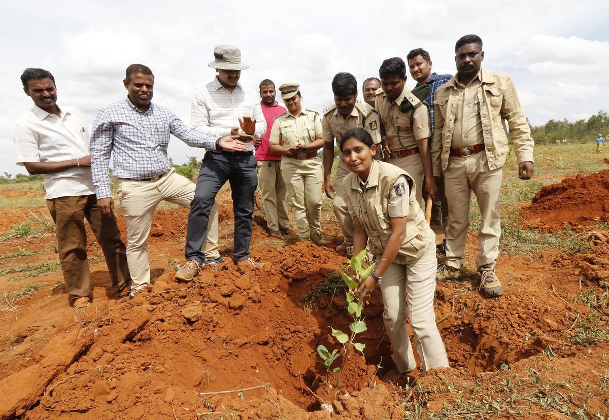 ವರದನಾಯಕನಹಳ್ಳಿಯ ಸರ್ವೆ ನಂಬರ್ 10ರಲ್ಲಿ ಅರಣ್ಯ ಇಲಾಖೆಗೆ ಸೇರಿದ ಜಮೀನು ವಿವಾದ ಪರಿಹಾರವಾದ ನಂತರ ಸಸಿ ನೆಡಲಾಯಿತು