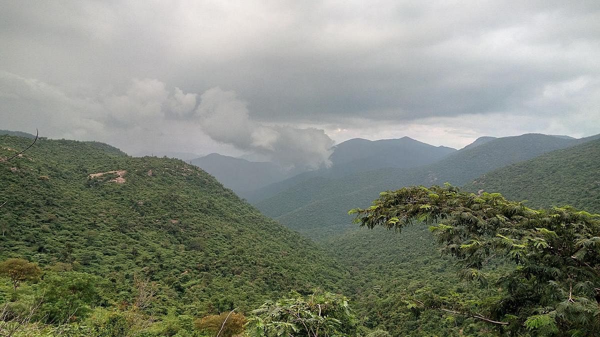 ಮಲೆ ಮಹದೇಶ್ವರ ವನ್ಯಧಾಮದಲ್ಲಿರುವ ಬೆಟ್ಟದ ಸಾಲು