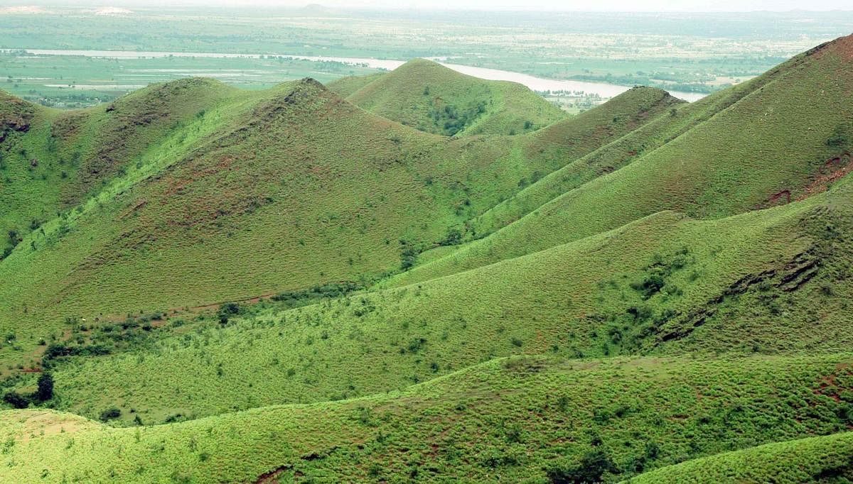 ಕಪ್ಪತಗುಡ್ಡ –ಸಂಗ್ರಹ ಚಿತ್ರ