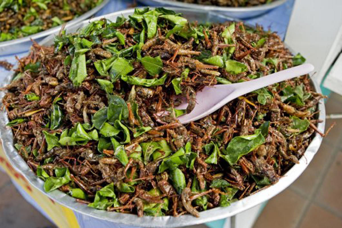 ಊಟಕ್ಕೆ ಸಿದ್ಧವಾದ ಜಿಟ್ಟೆಯ ಭಕ್ಷ್ಯಗಳು