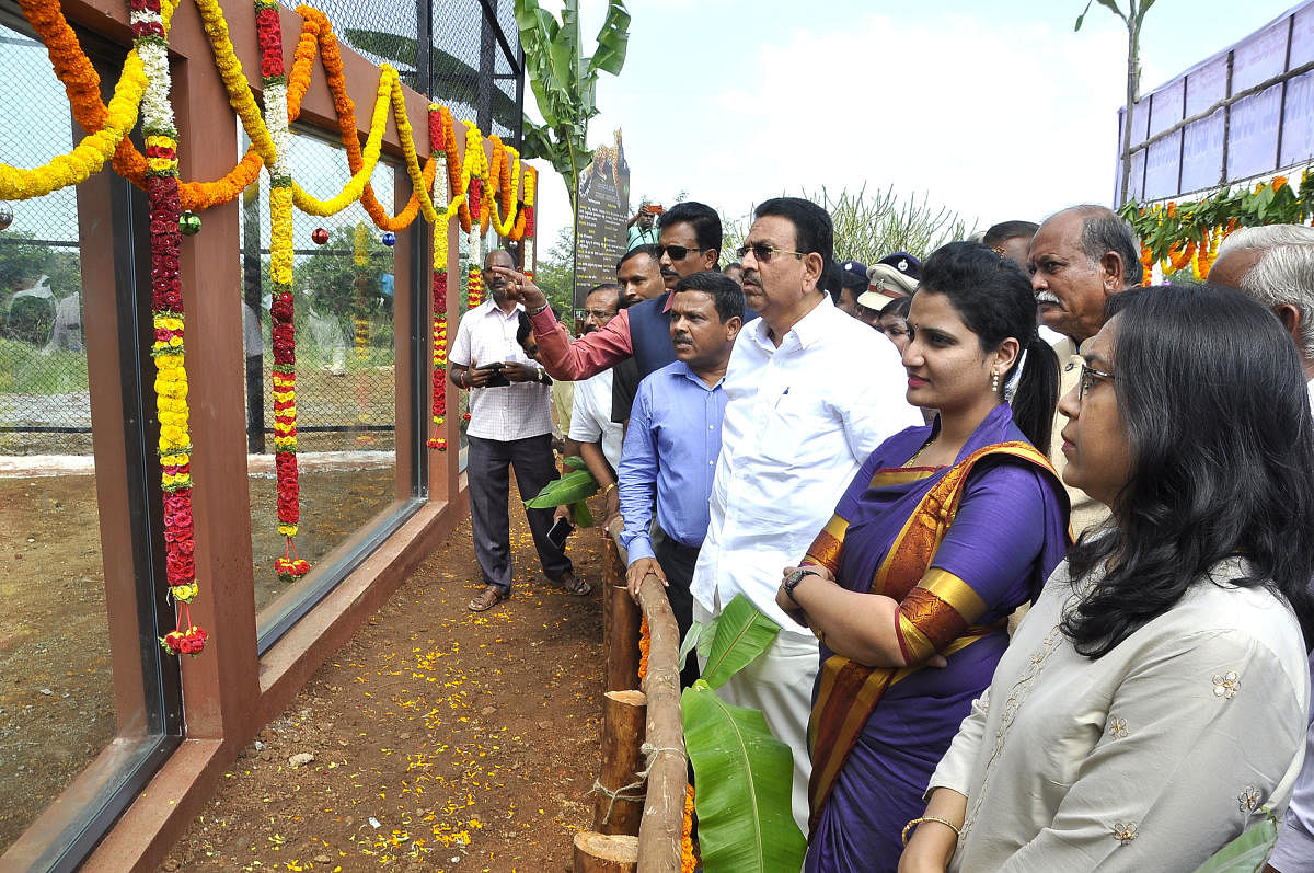 ಹಂಪಿ ಮೃಗಾಲಯದಲ್ಲಿ ಚಿರತೆ ಆವರಣ ಉದ್ಘಾಟಿಸಿದ ನಂತರ ಅವುಗಳನ್ನು ನೋಡಿದ ಸಚಿವ ಸಿ.ಸಿ. ಪಾಟೀಲ. 