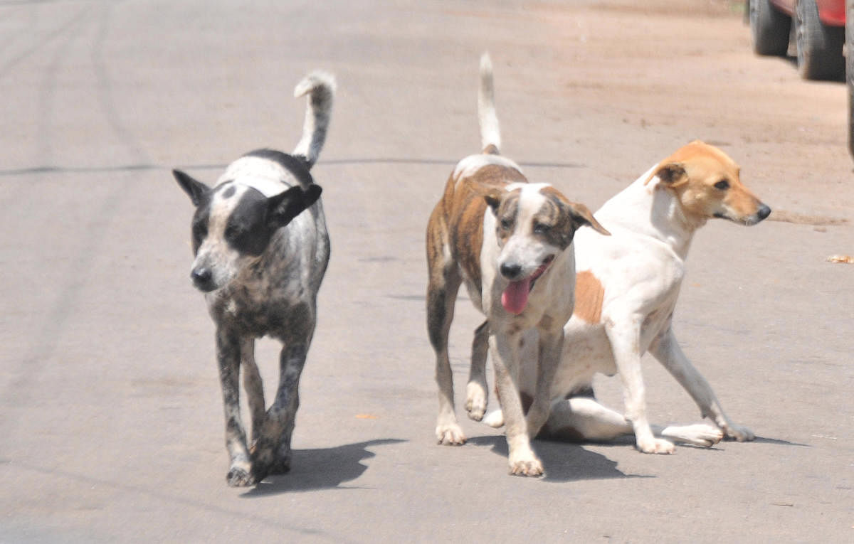 ಸಾಂದರ್ಭಿಕ ಚಿತ್ರ