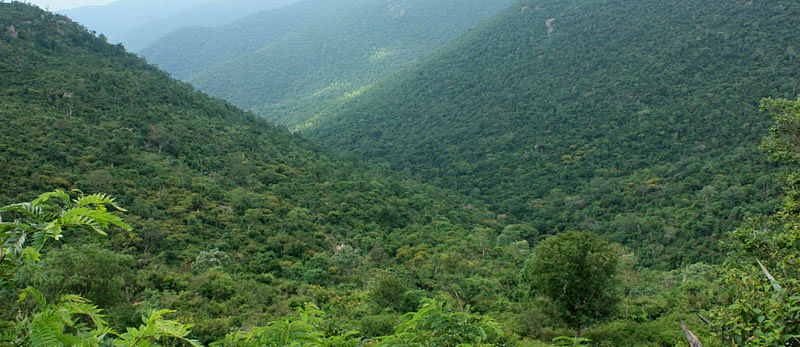 ಸಾಂದರ್ಭಿಕ ಚಿತ್ರ