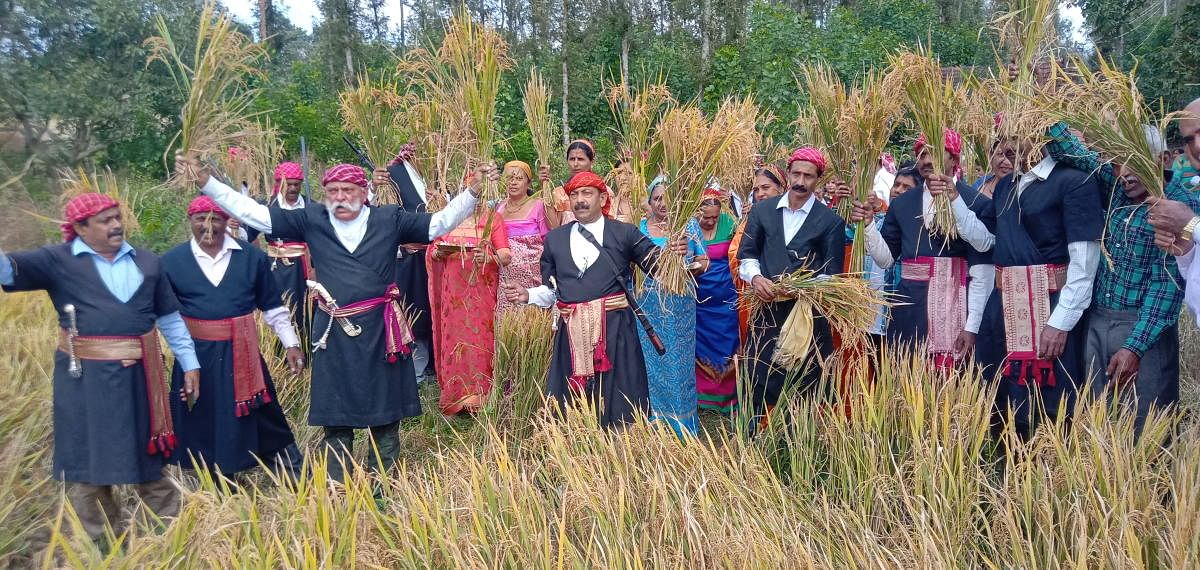 ಕುಶಾಲನಗರ ಸಮೀಪದ ಚಿಕ್ಕಬೆಟ್ಟಗೇರಿ ಗ್ರಾಮದಲ್ಲಿ ಸಾಮೂಹಿಕವಾಗಿ ಪುತ್ತರಿ ನಮ್ಮೆ ಆಚರಿಸಲಾಯಿತು