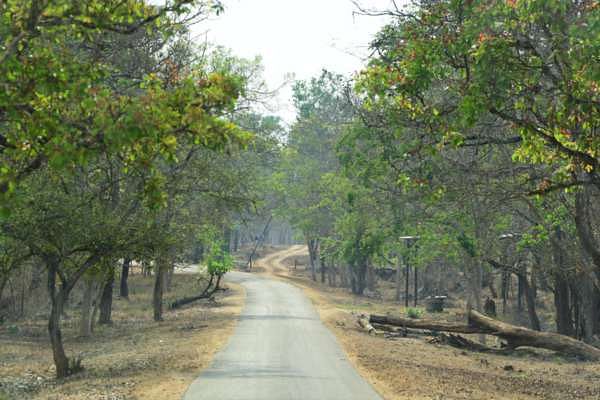 ಸಾಂದರ್ಭಿಕ ಚಿತ್ರ