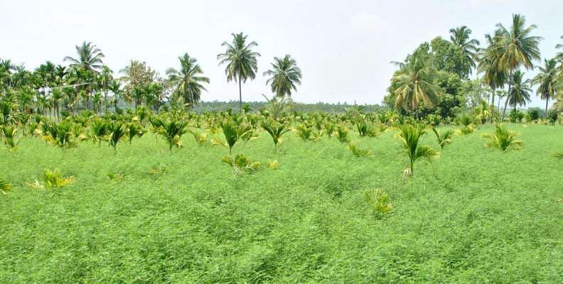 ಸಾಂದರ್ಭಿಕ ಚಿತ್ರ