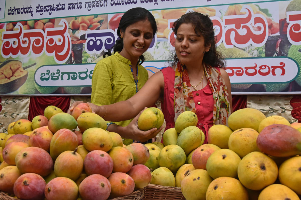 ಸಾಂದರ್ಭಿಕ ಚಿತ್ರ