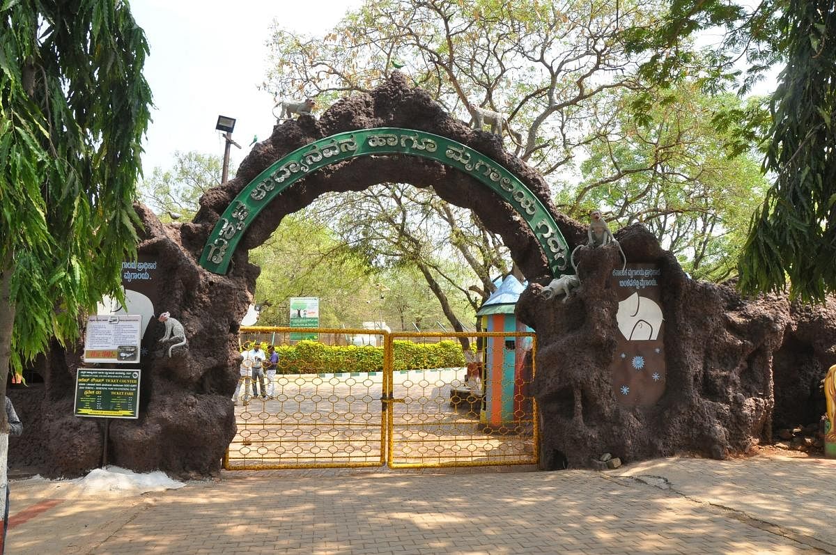 ಗದುಗಿನ ಬಿಂಕದಕಟ್ಟಿ ಮೃಗಾಲಯದ ಪ್ರವೇಶದ್ವಾರ