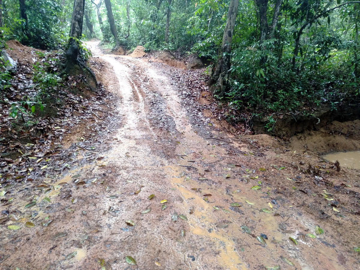 ಕುಂಬಾರಗದ್ದೆ ಹಳ್ಳ ಉಕ್ಕಿ ಹರಿಯುವ ಜಾಗವಿದು