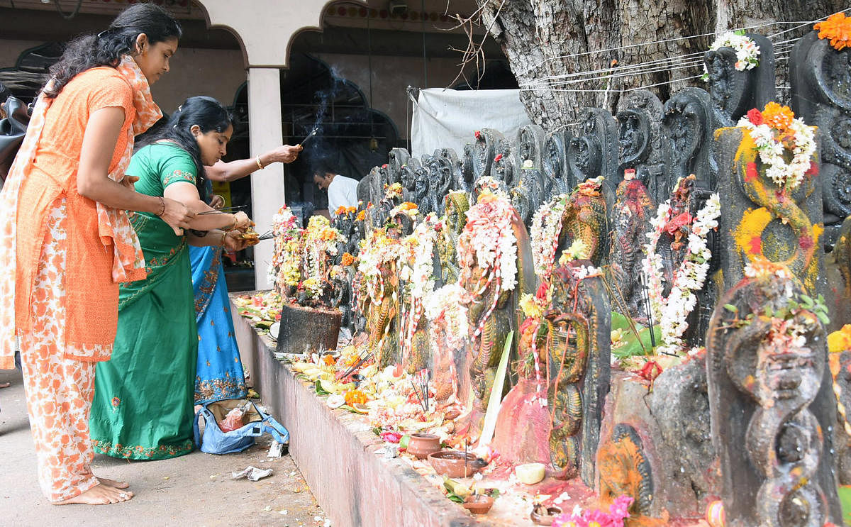 ನಾಗರಪಂಚಮಿ ಪ್ರಯುಕ್ತ ಮೈಸೂರಿನ ಅಮೃತೇಶ್ವರ ದೇಗುಲದ ಬಳಿ ಭಕ್ತರು ನಾಗದೇವರಿಗೆ ಪೂಜೆ ಸಲ್ಲಿಸಿದರು. ನಾಗಪ್ಪನಿಗೆ ಹೂವಿನಿಂದ ವಿಶೇಷ ಅಲಂಕಾರ ಮಾಡಿ ಹಾಲಿನಿಂದ ಅಭಿಷೇಕ ನೆರವೇರಿಸಿದರು