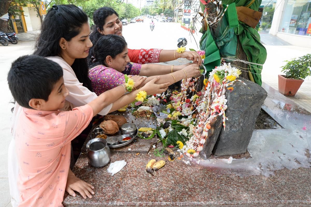 ನಾಗಪಂಚಮಿ ಅಂಗವಾಗಿ ದಾವಣಗೆರೆಯಲ್ಲಿ ಶುಕ್ರವಾರ ಭಕ್ತರು ನಾಗರ ಮೂರ್ತಿಗೆ ಹಾಲು ಹಾಕಿದರುಪ್ರಜಾವಾಣಿ ಚಿತ್ರ/ ಸತೀಶ ಬಡಿಗೇರ್